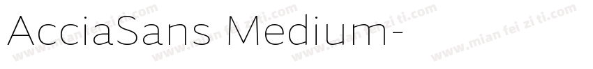 AcciaSans Medium字体转换